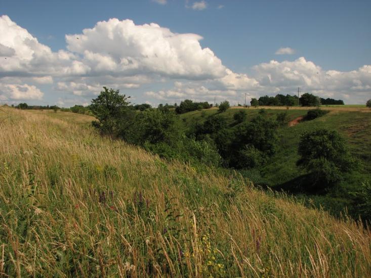 Клинці з panoramio.com - Клинці