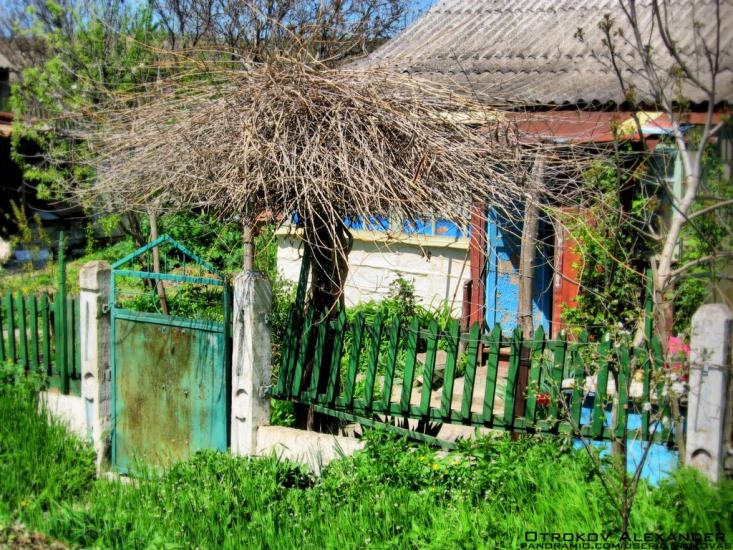 Некрасовка з panoramio.com - Некрасовка
