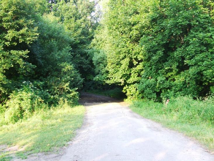 Рубанка з panoramio.com - Рубанка