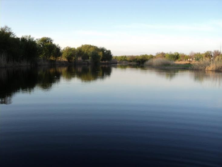 Комар з panoramio.com - Komar