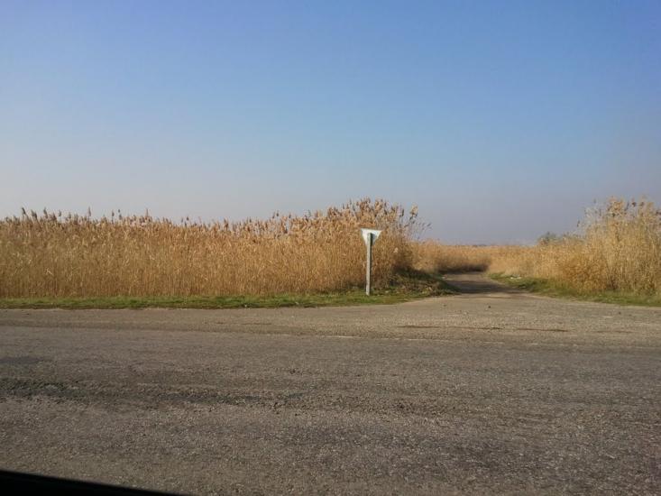 Ізумрудне з panoramio.com - Ізумрудне