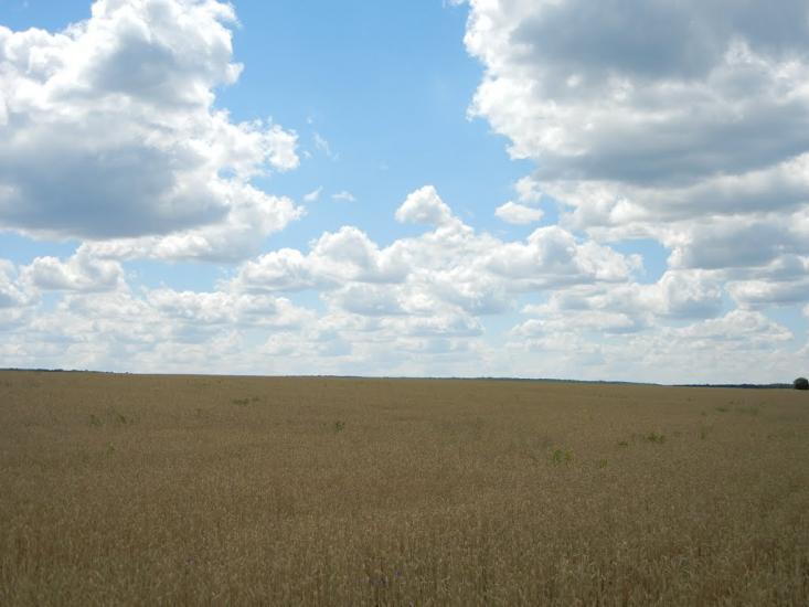 Введенка з panoramio.com - Введенка