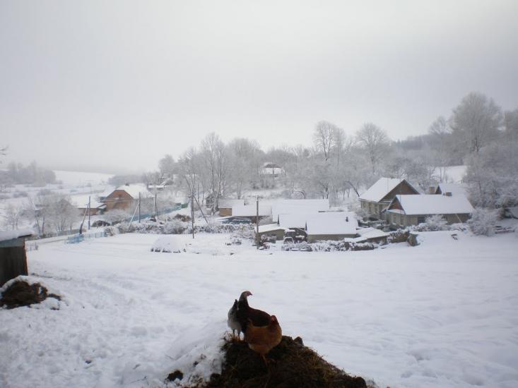 Шимківці з panoramio.com - Шимківці