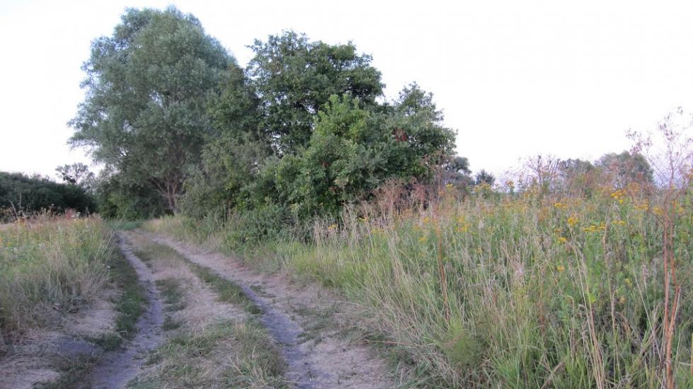 Колісники з panoramio.com - Колісники