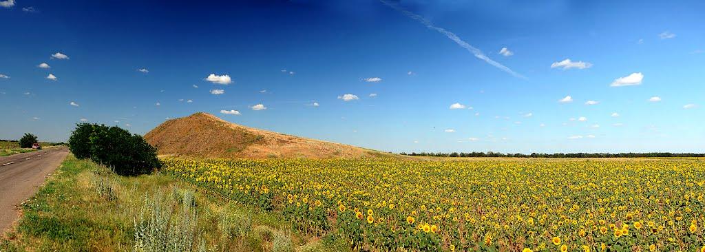 Верхні Сірогози з panoramio.com - Верхні Сірогози