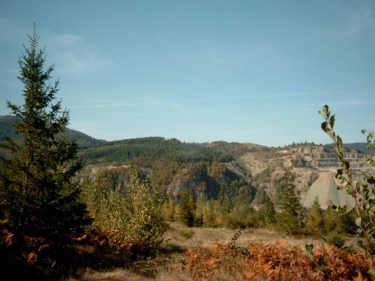 Пасічна з panoramio.com - Пасічна