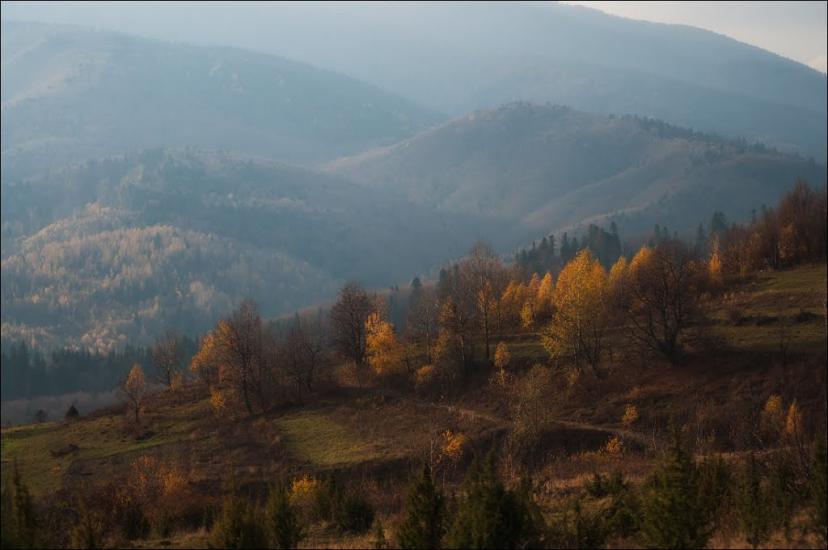 Пашківці з panoramio.com - Пашківці