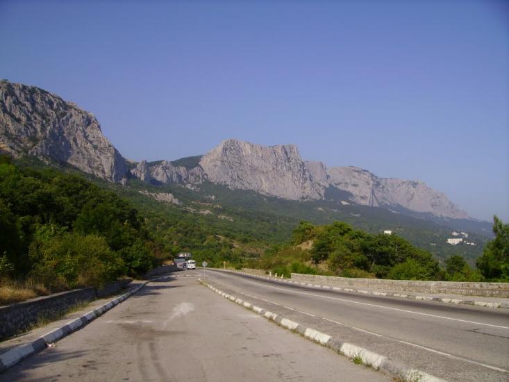 Олива з panoramio.com - Олива