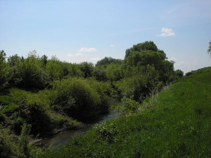 Сторожниця з panoramio.com - Сторожница