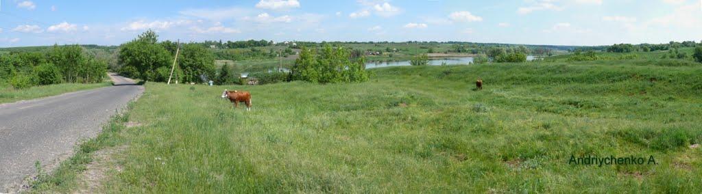 Високопілля з panoramio.com - Високопілля