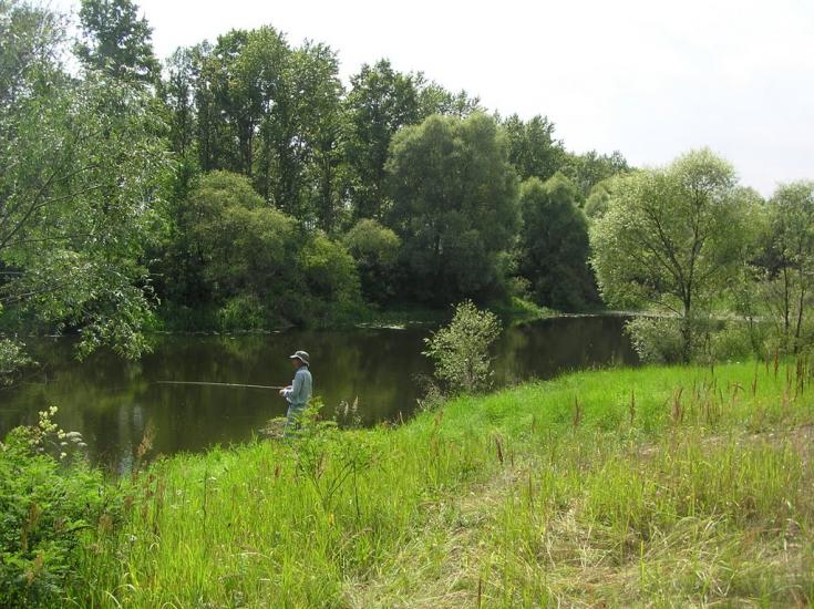 Літки з panoramio.com - Летки