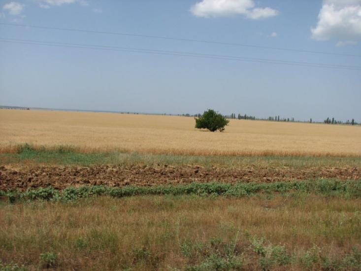 Чоботарка з panoramio.com - Чеботарка