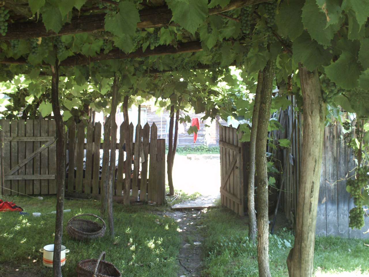 Мої спогади - Сутоки