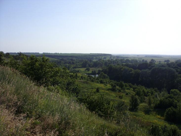 Сухорабівка з panoramio.com - Сухорабівка