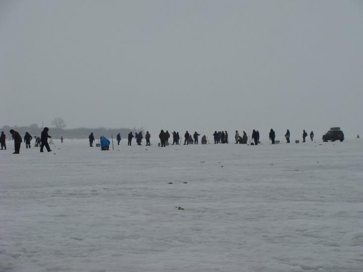 Козаровичі з panoramio.com - Kozarovychi