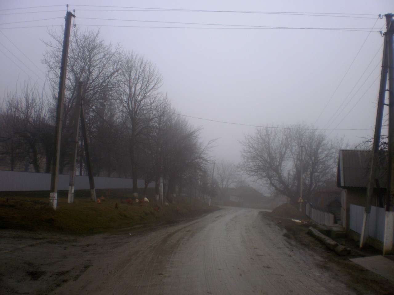 Петрашівка - Петрашівка