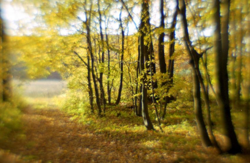 Жуличі з panoramio.com - Жуличі