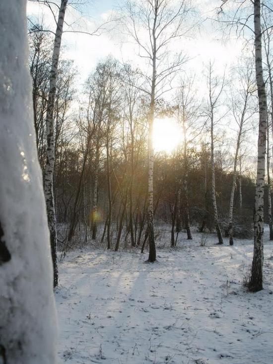 Лохвиця з panoramio.com - Lokhvitsa