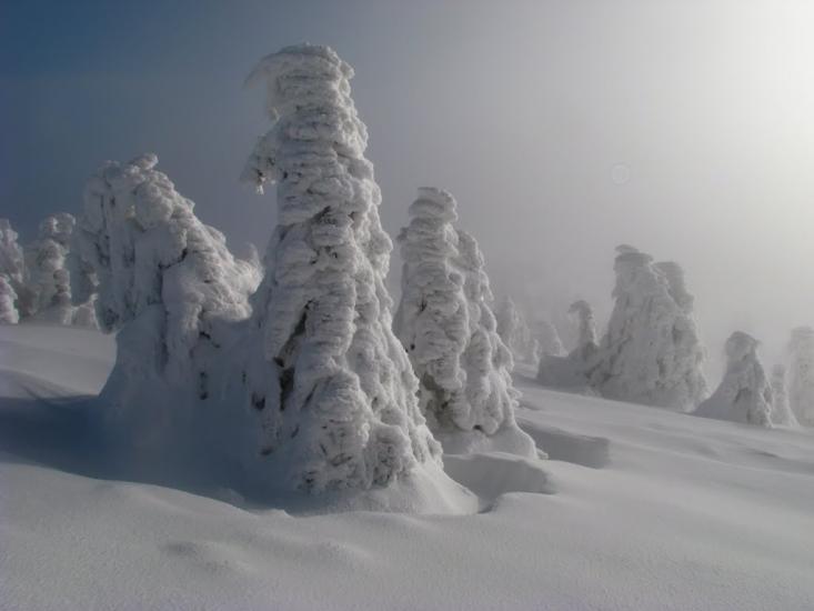 Лопухів з panoramio.com - Лопухов