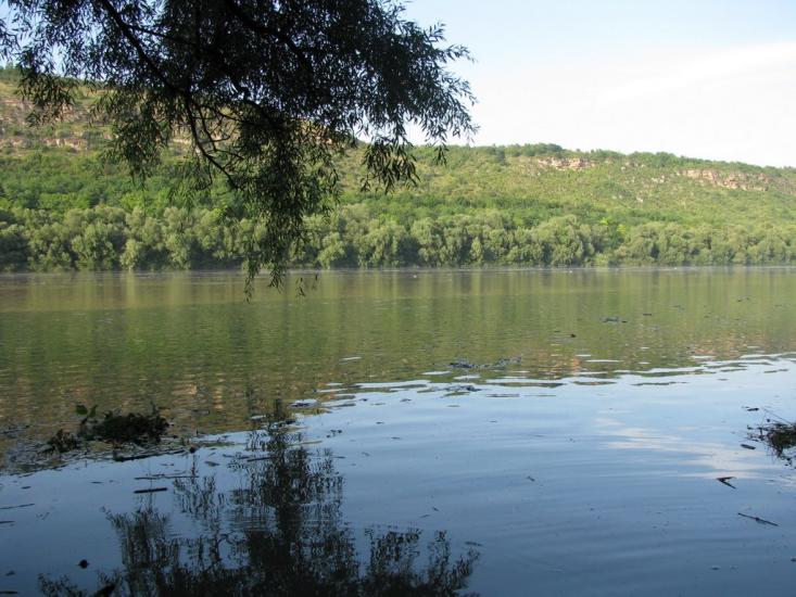 Олексіївка з panoramio.com - Алексеевка