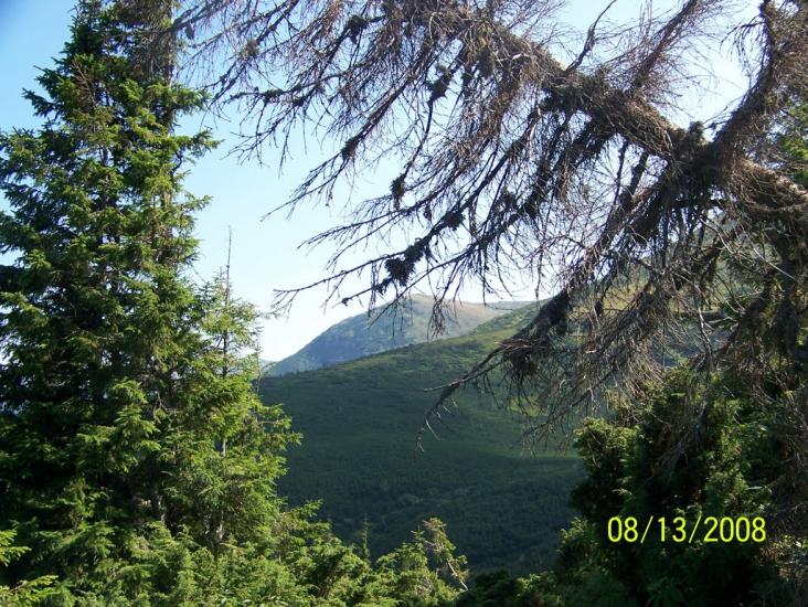 Вороненко з panoramio.com - Voronenko