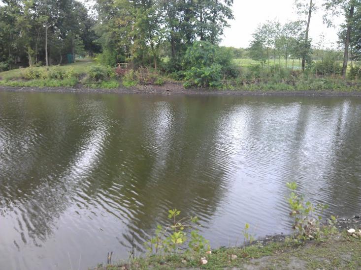 Великі Крушлинці з panoramio.com - Великі Крушлинці