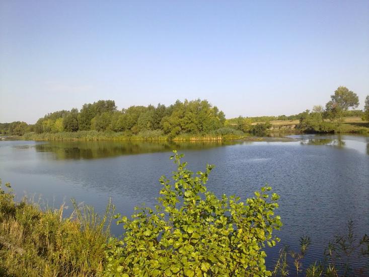 Дубинове з panoramio.com - Дубинове