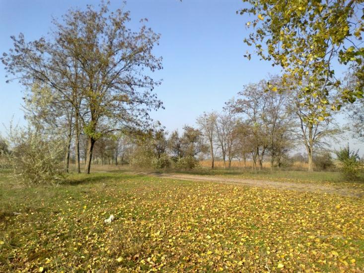 Солонці з panoramio.com - Солонцы