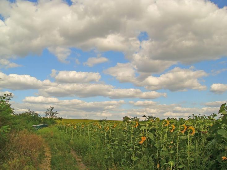 Зброшкове з panoramio.com - Зброшкове