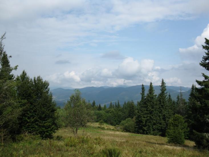 Нижня Рожанка з panoramio.com - Нижняя Рожанка