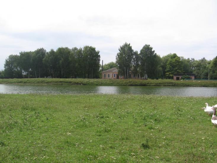 Товстоліс з panoramio.com - Товстоліс