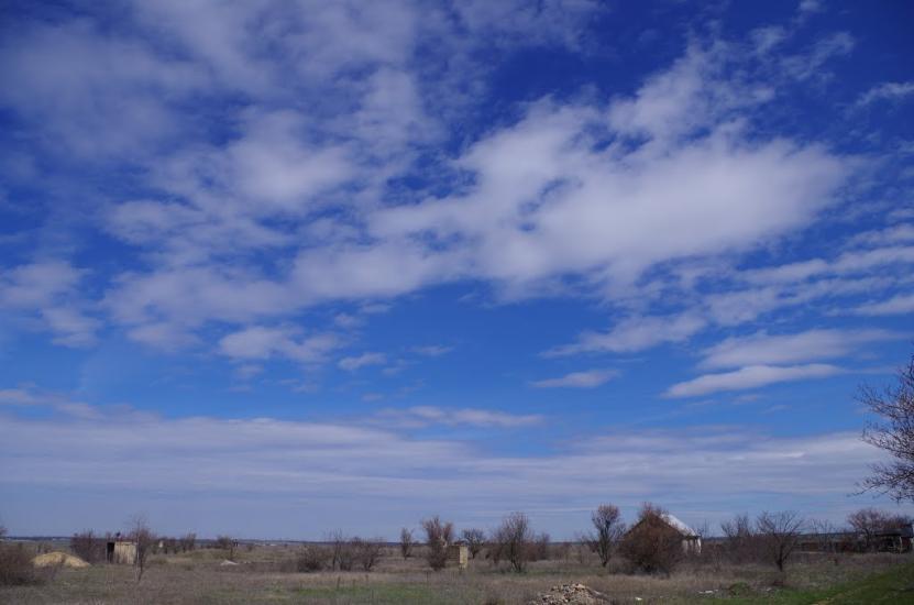 Новозбур'ївка з panoramio.com - Новозбур'ївка