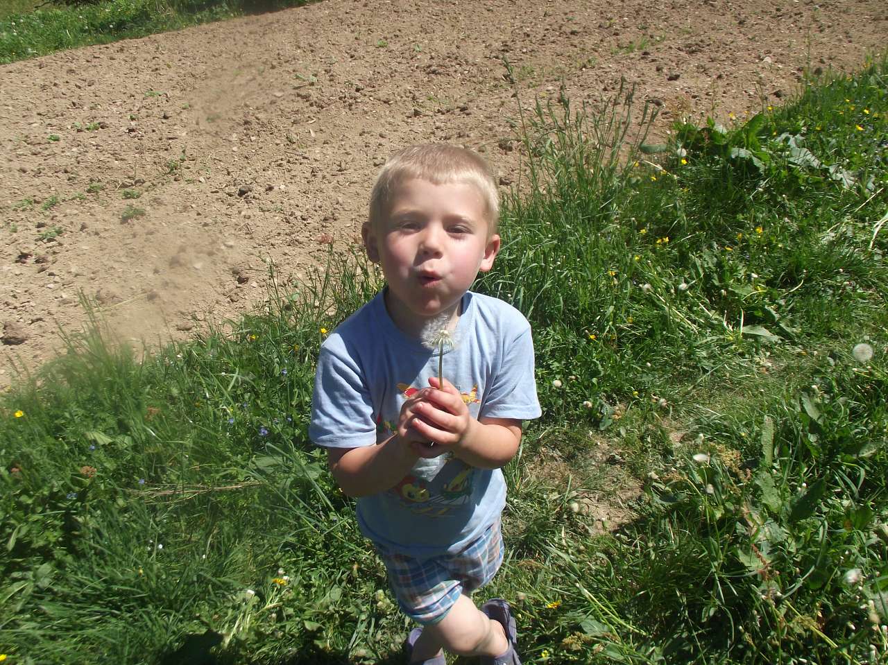 Кіндратів - Кіндратів