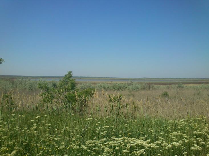 Орджонікідзе з panoramio.com - Орджоникидзе