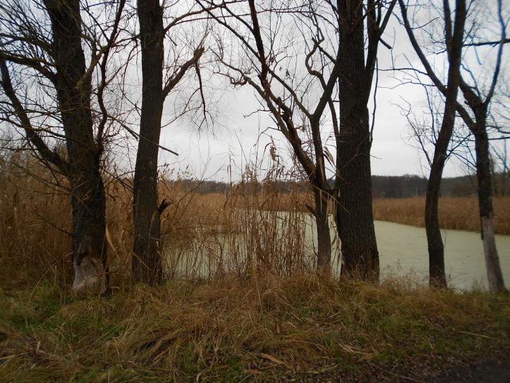 Деменці з panoramio.com - Деменці