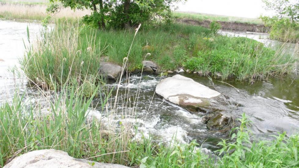 Новокатеринівка з panoramio.com - Новокатеринівка