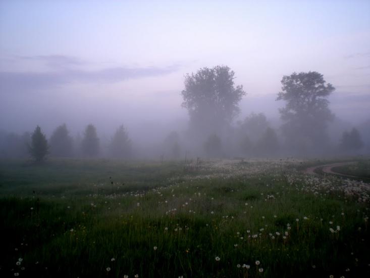 Кунцеве з panoramio.com - Kuntseve