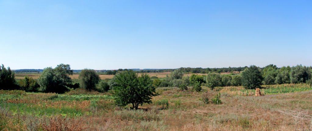 Біляки з panoramio.com - Беляки
