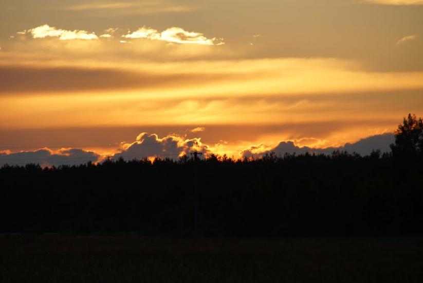 Рейментарівка з panoramio.com - Рейментарівка