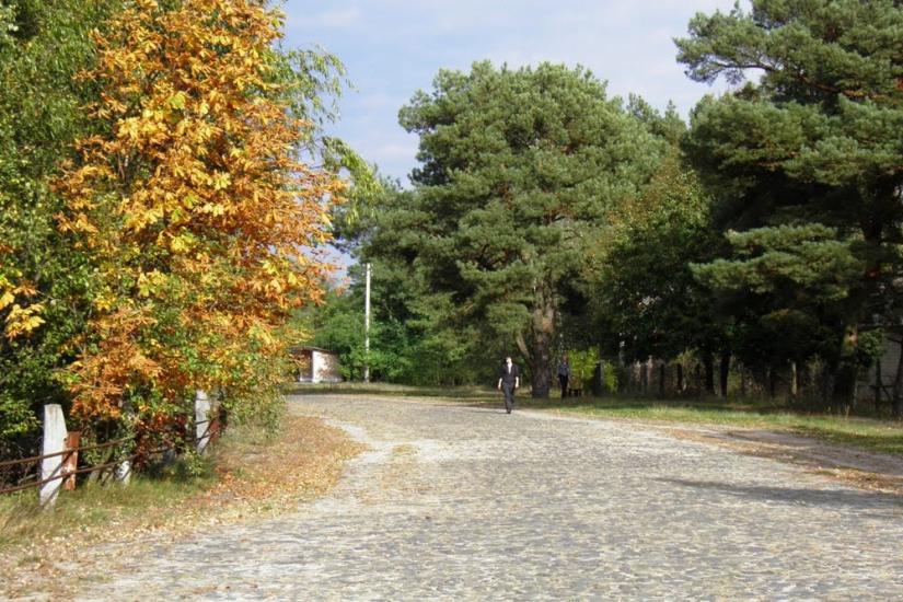 Млин з panoramio.com - Mlyn