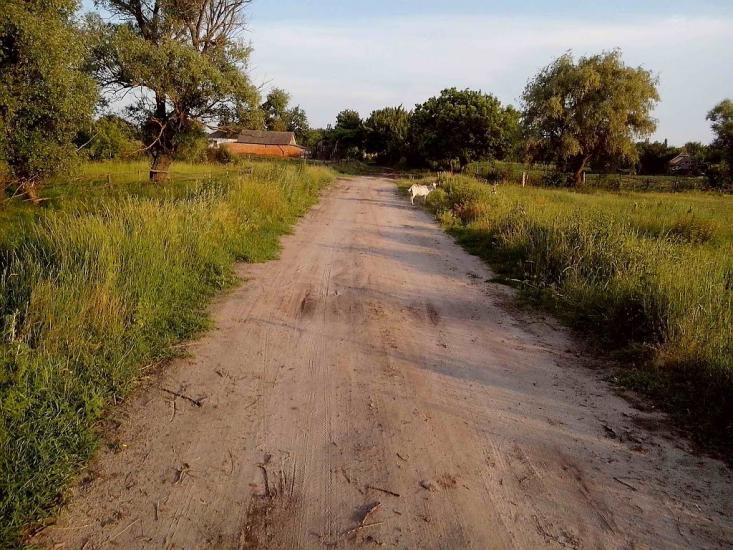 Хорішки з panoramio.com - Khorishky