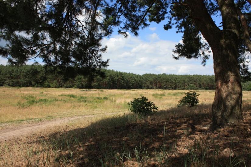 Крутьки з panoramio.com - Крутьки