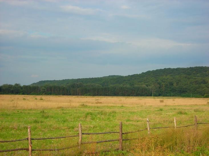 Мошни з panoramio.com - Мошны