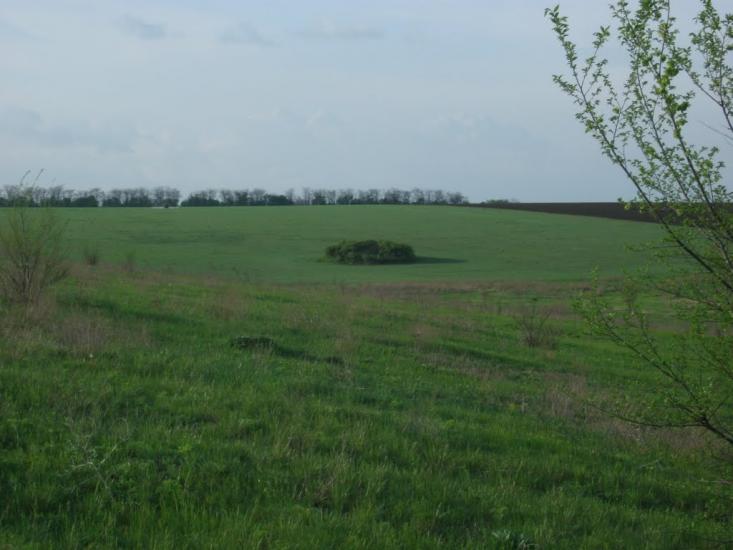 Доброжанове з panoramio.com - Доброжанове