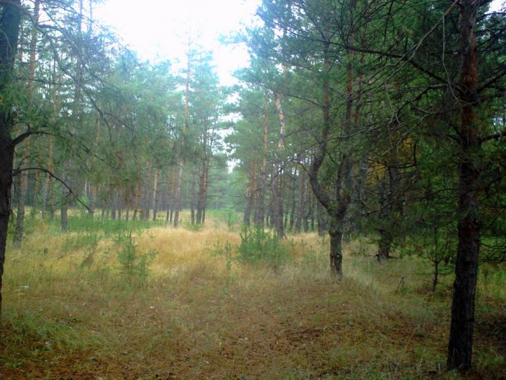 Нижньотепле з panoramio.com - Нижнетеплое