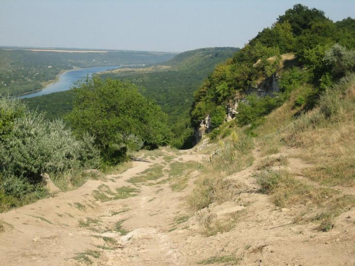 Олексіївка з panoramio.com - Алексеевка