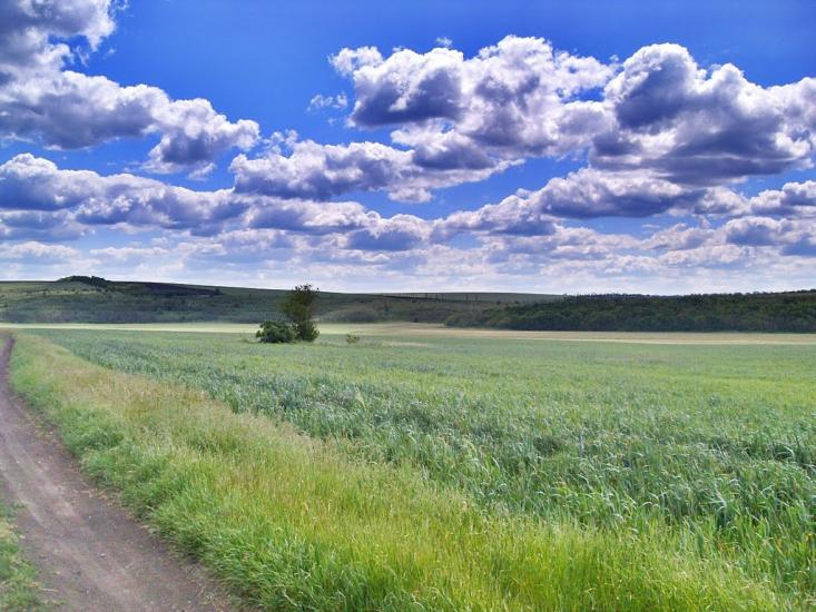 Доманівка з panoramio.com - Доманівка