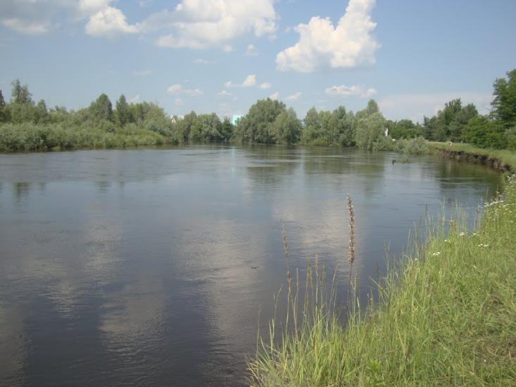 Літочки з panoramio.com - Леточки