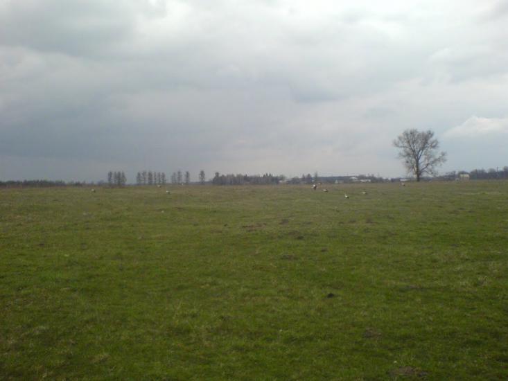 Великі Переліски з panoramio.com - Великі Переліски