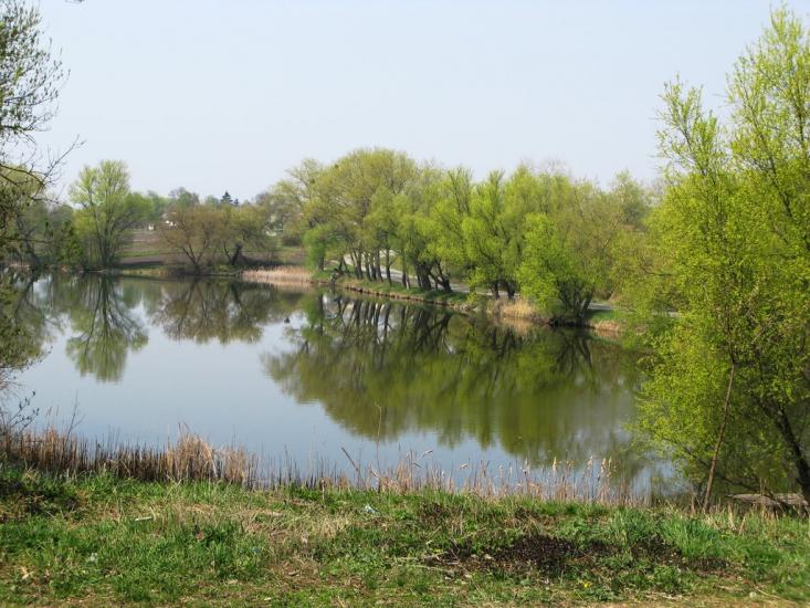 Шапіївка з panoramio.com - Шапіївка